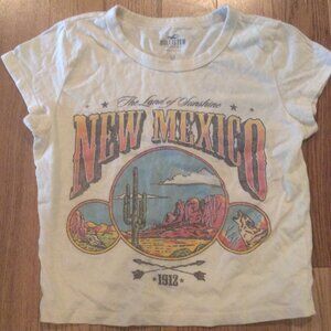 Hollister Cream New Mexico Crop Top XS